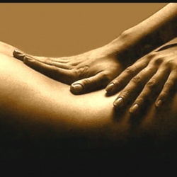 Samuel 20 Eur 26 Sex ponuka Bratislava, Dúbravka