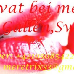 Erotická práca vo Švajčiarsku St.gallen