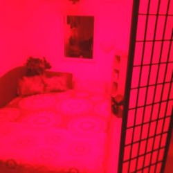 Ponuka prace Hlohovec