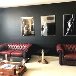 Elegant CLUB WIEN vien