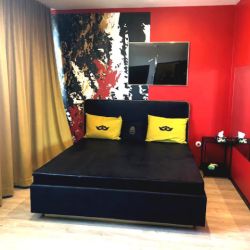 Elegant CLUB WIEN vien