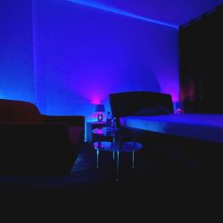 escort NEMECKO Hamburg