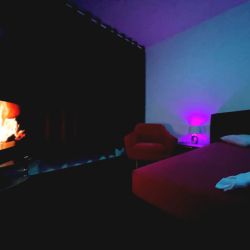 escort NEMECKO Hamburg