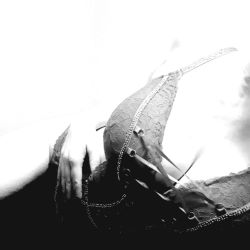 Ivana 40 Sex ponuka Nitra