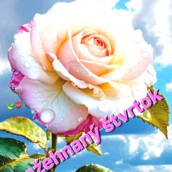 Valery 38 Sex Angebot Bratislava, Vajnory