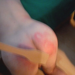 Domina 42 Sex ponuka Bratislava, Staré Mesto