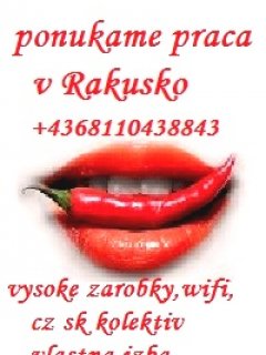 praca v rakusko (21)